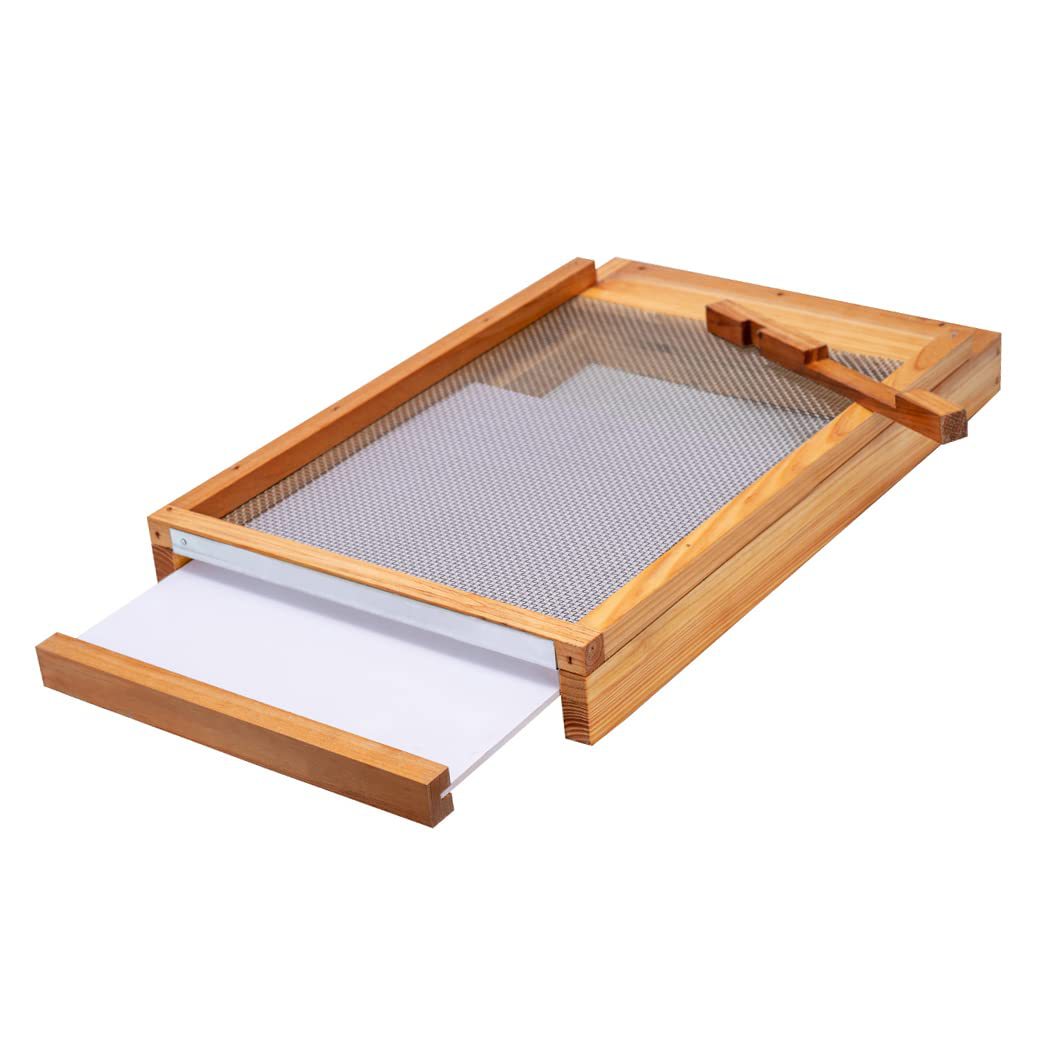 Beehive Frame Wax - Favo de mel de dez quadros