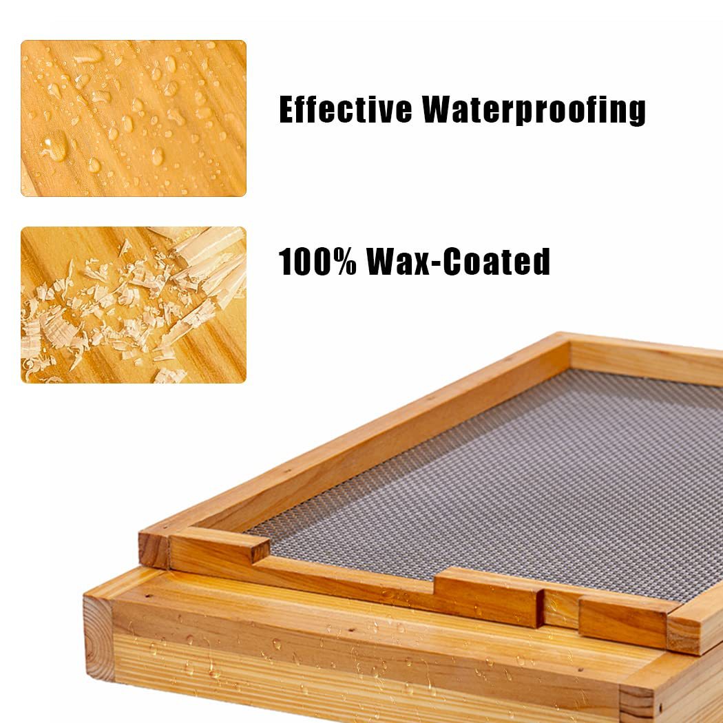 Favo de mel de dez quadros com - Beehive Frame Wax avaliação e preço