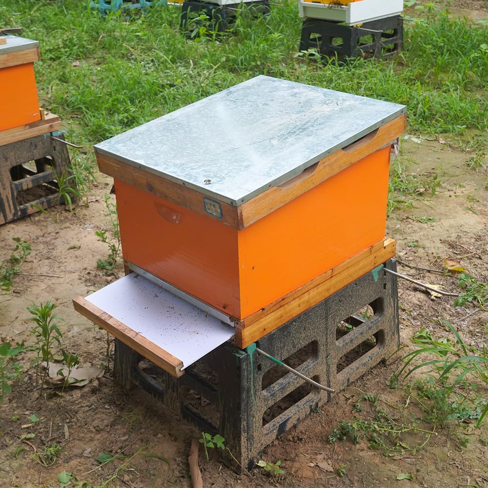 Favo de mel de dez quadros com - Beehive Frame Wax avaliação e preço